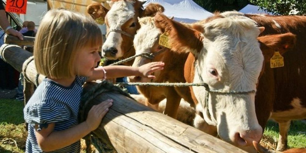 FIERA ZOOTECNICA DI ARMENO