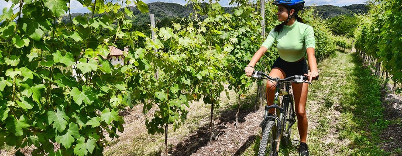 TRA VIGNE E CICOGNE DEL FENERA